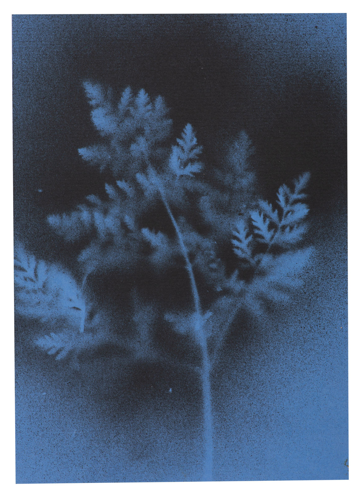 Kerry Lemon, UKRAÏNA 1