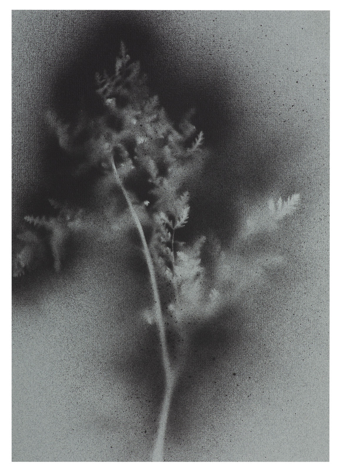 Kerry Lemon, UKRAÏNA 24