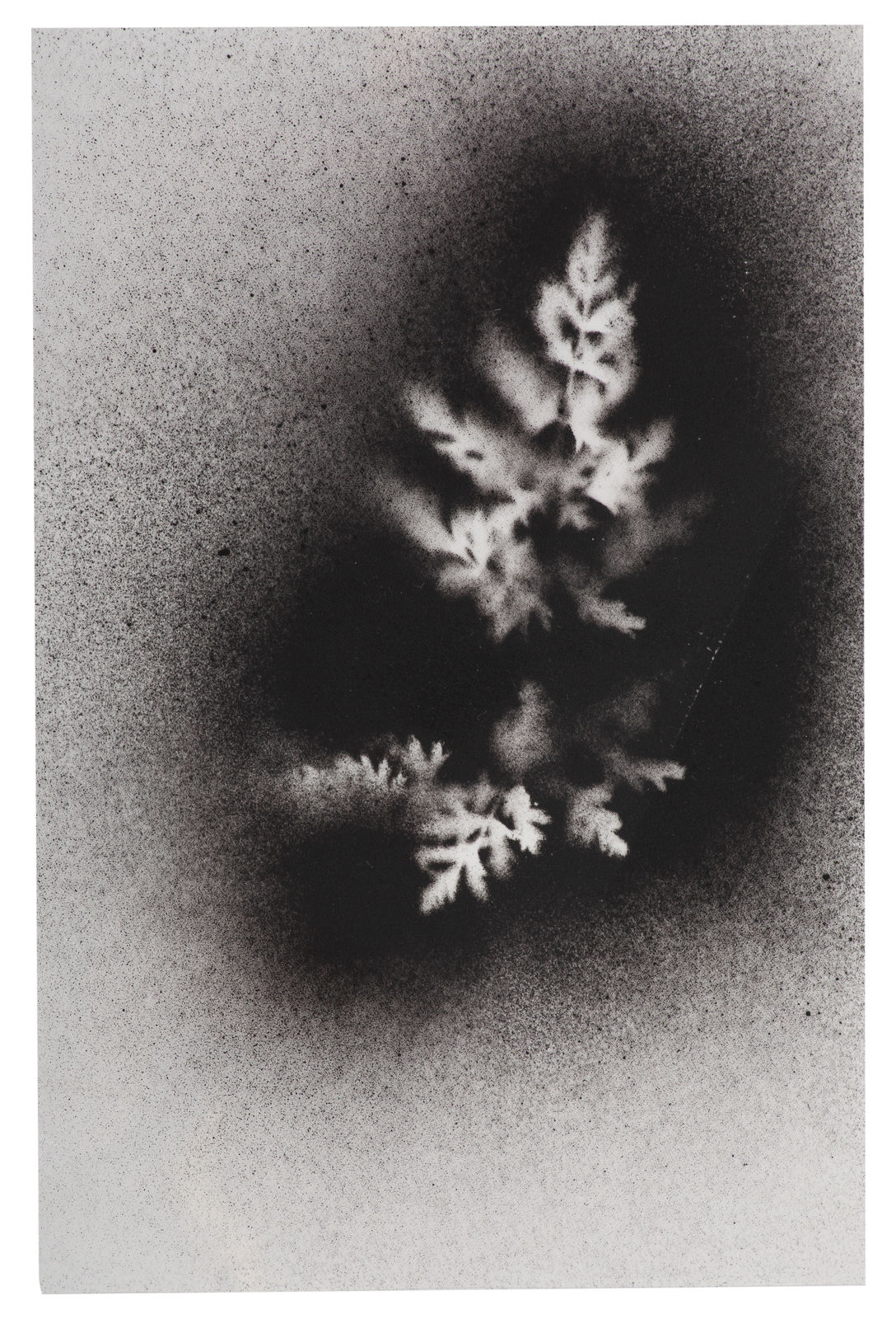 Kerry Lemon, UKRAÏNA 29