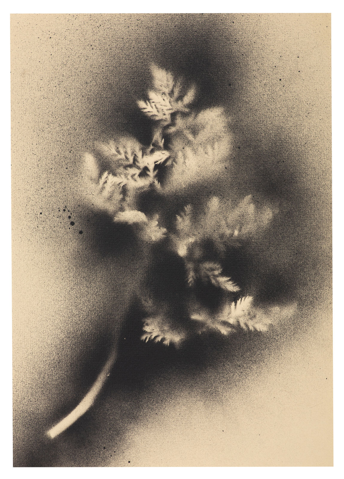 Kerry Lemon, UKRAÏNA 4