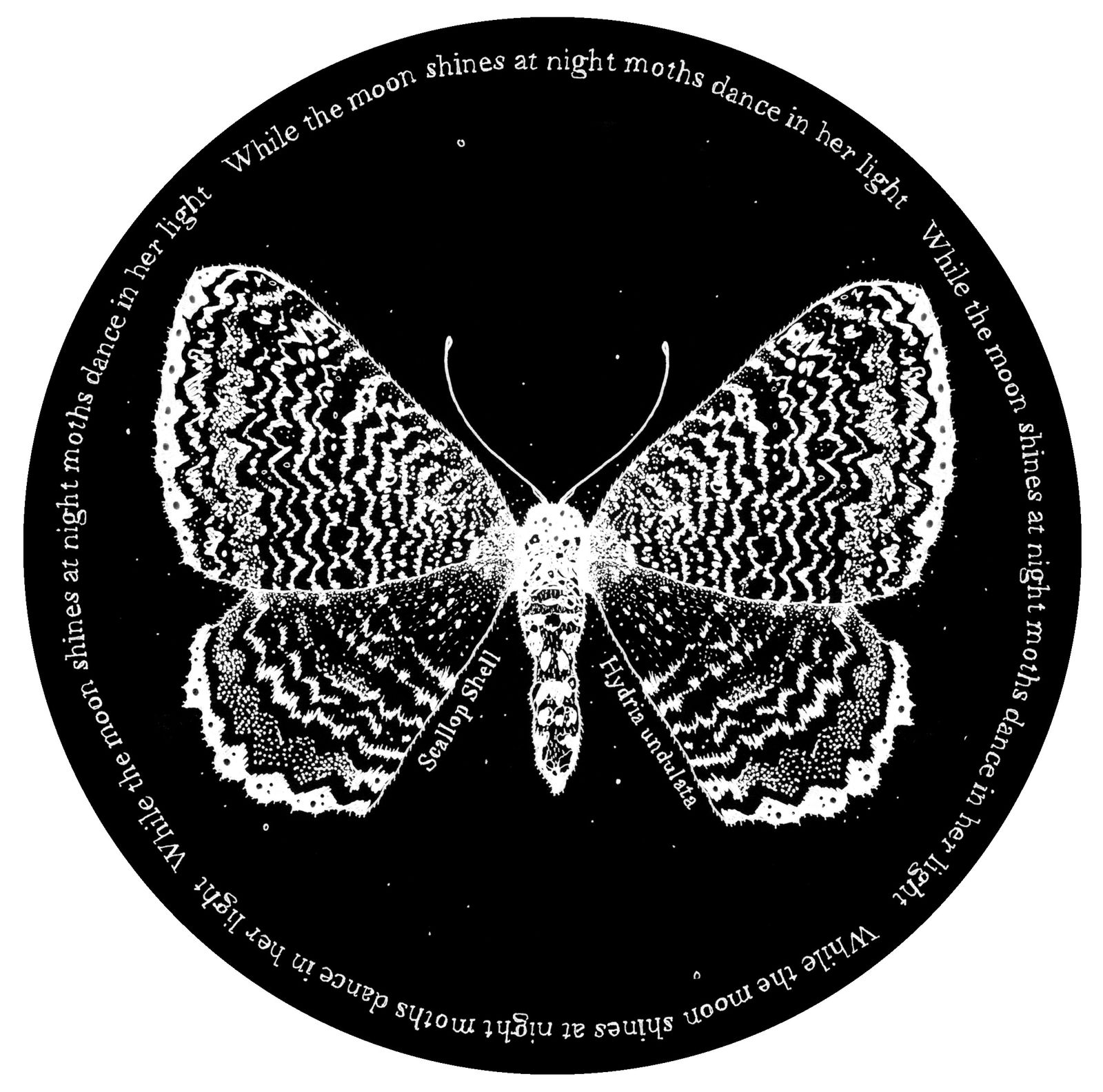 Kerry Lemon, Lepidoptera