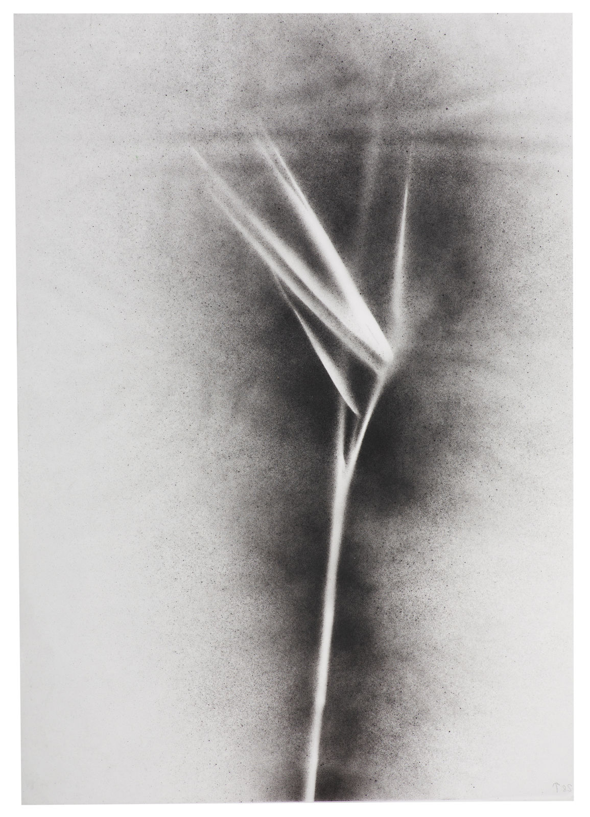 Kerry Lemon, UKRAÏNA 28