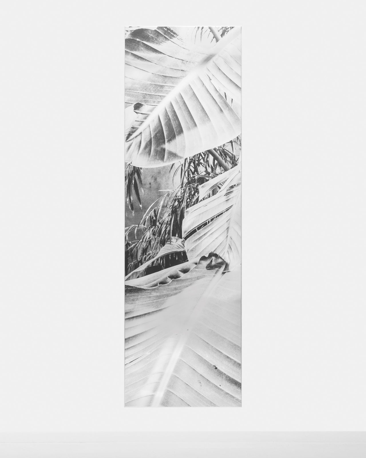 Sybren Vanoverberghe, Display Screen 38, 2024