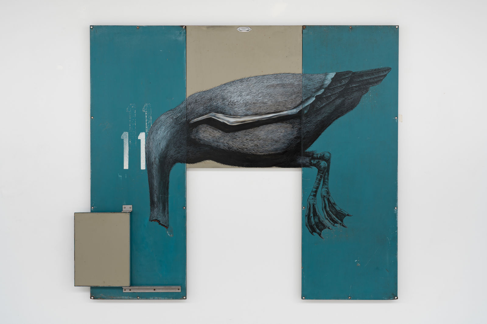 ROA, ANAS PLATYRHYNCHOS DOMESTICUS (Call Duck - Witte Kwaker), 2023