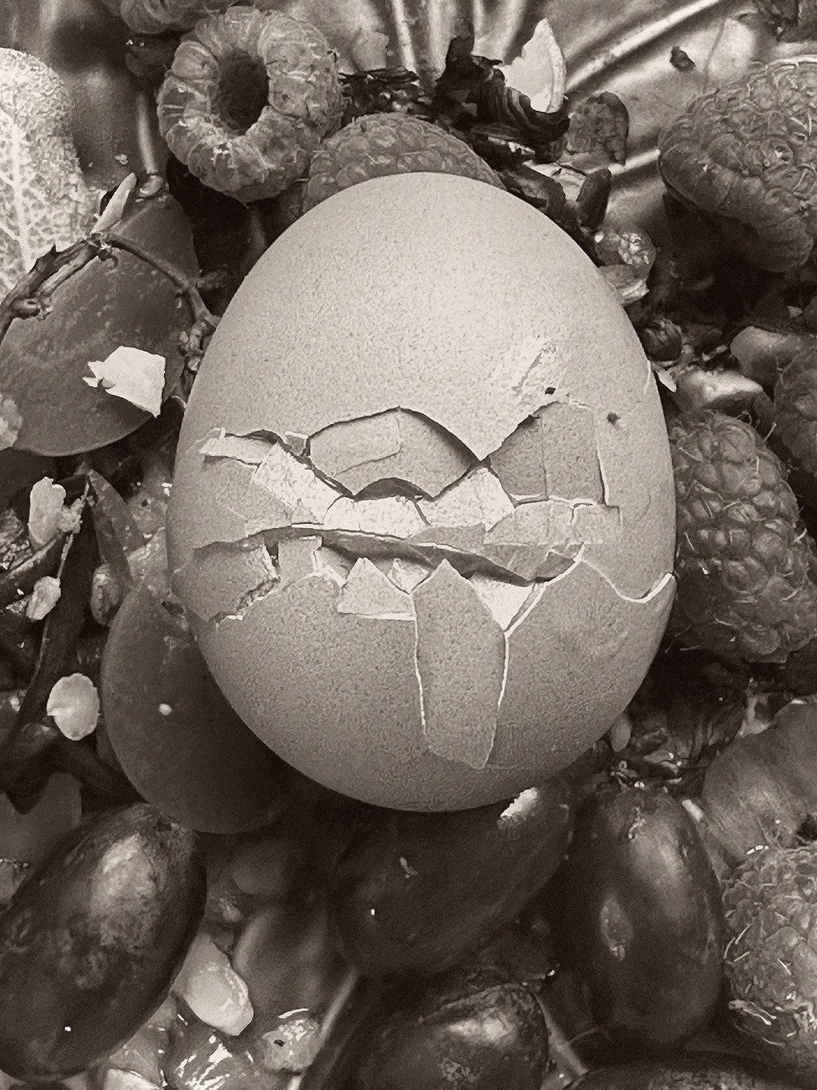 Paul Kooiker, Untitled (Egg), 2024