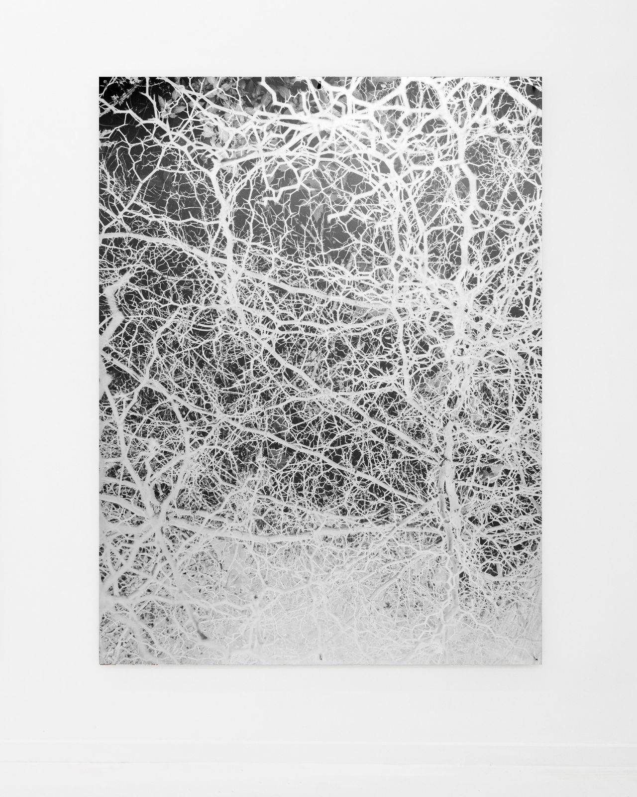 Sybren Vanoverberghe, Display Screen 33, 2023