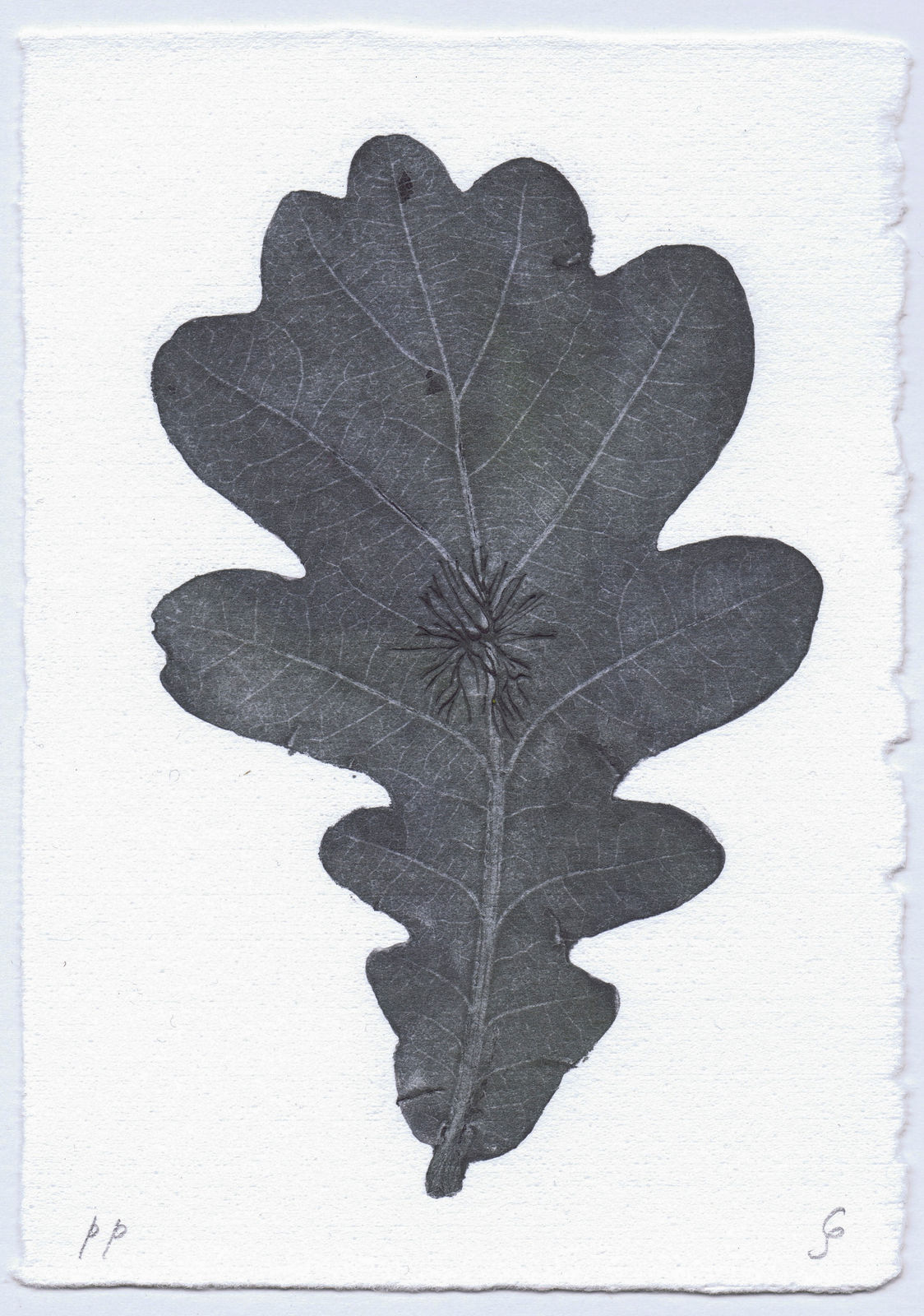 Clara Spilliaert, Trianal, 2025