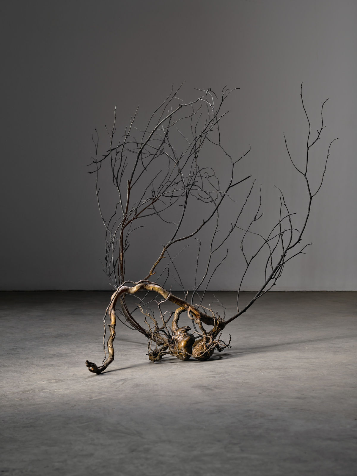 Javier Pérez, Doble Latido, 2020