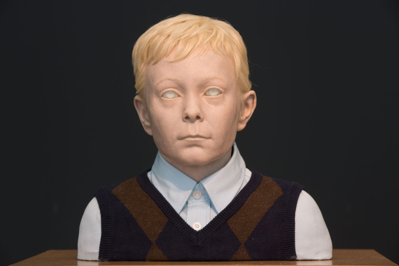 Peter Land, Boy, 2012