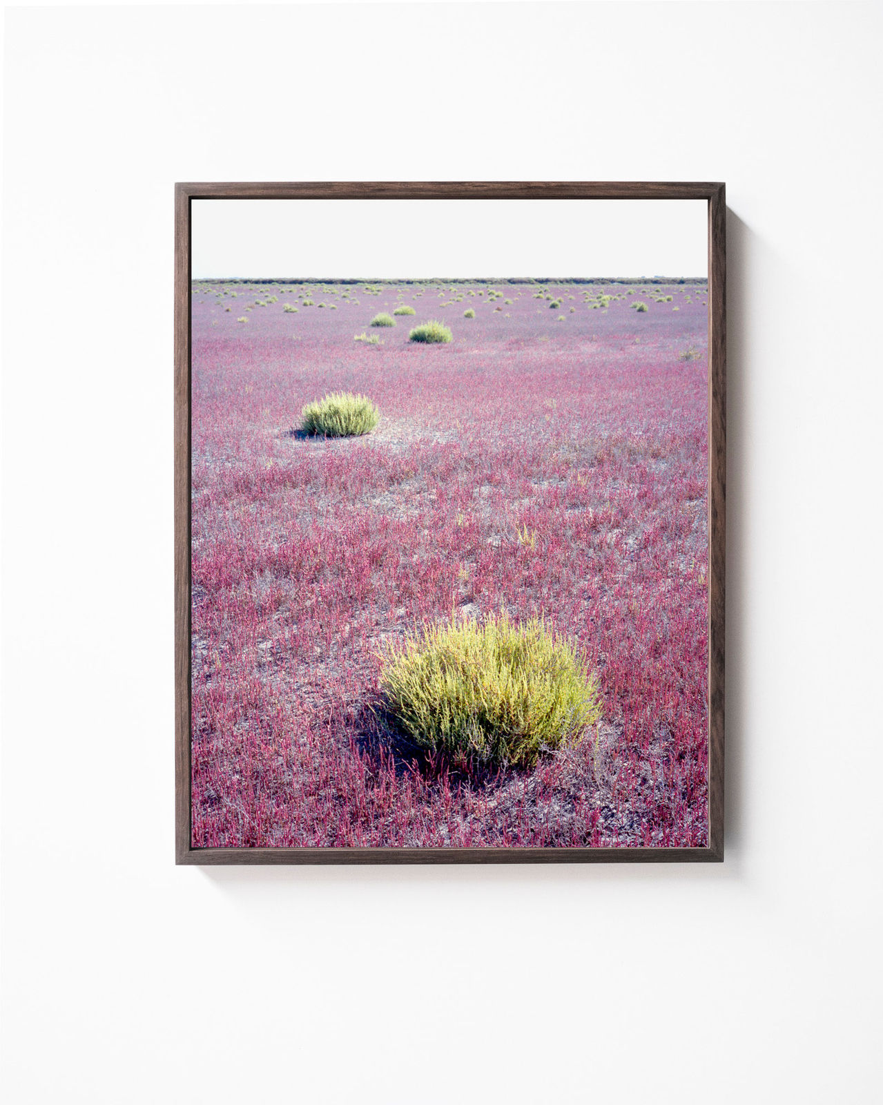 Sybren Vanoverberghe, From the Series 2099 - Pink Field, 2017