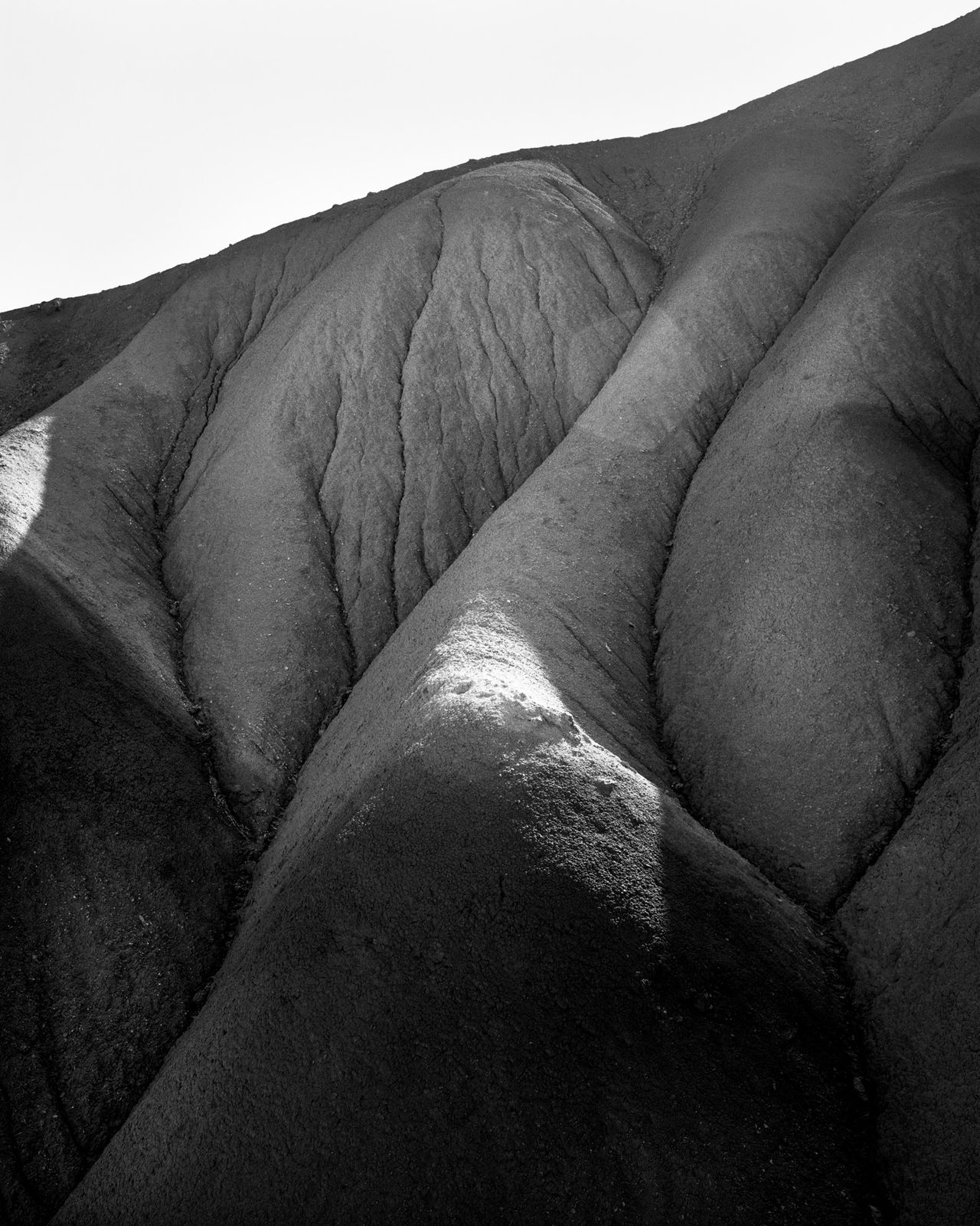 Sybren Vanoverberghe, From the series Conference of the Birds - Mountain 01, 2019