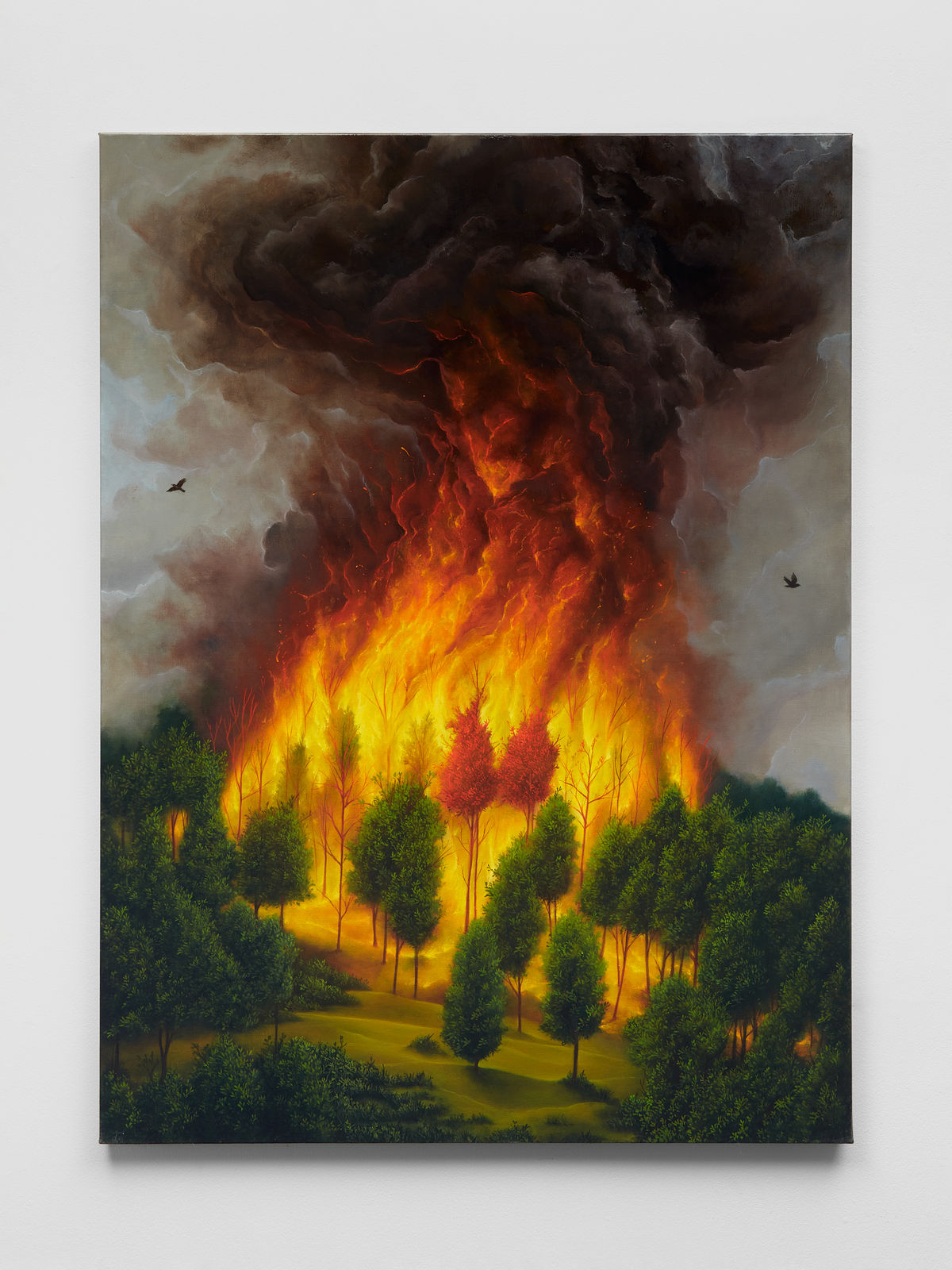 Antoine Roegiers, Le coeur du brasier, 2025