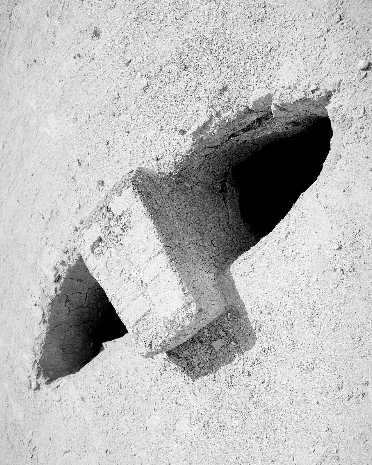 Sybren Vanoverberghe, From the series Conference of the Birds - Sand Eyes, 2019