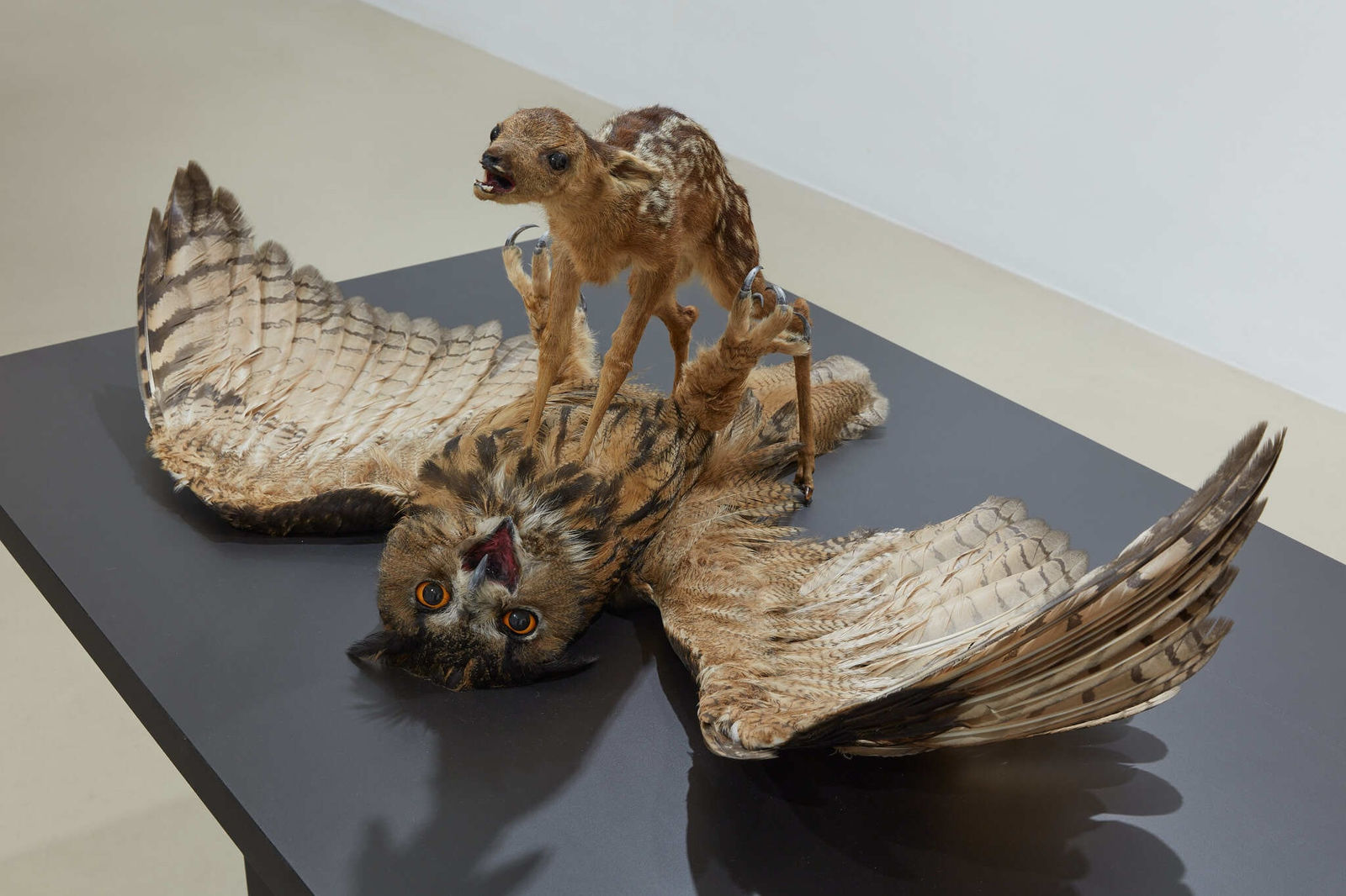 Nasan Tur, Taxidermic animal couple 'Agony Roe - Owl', 2022