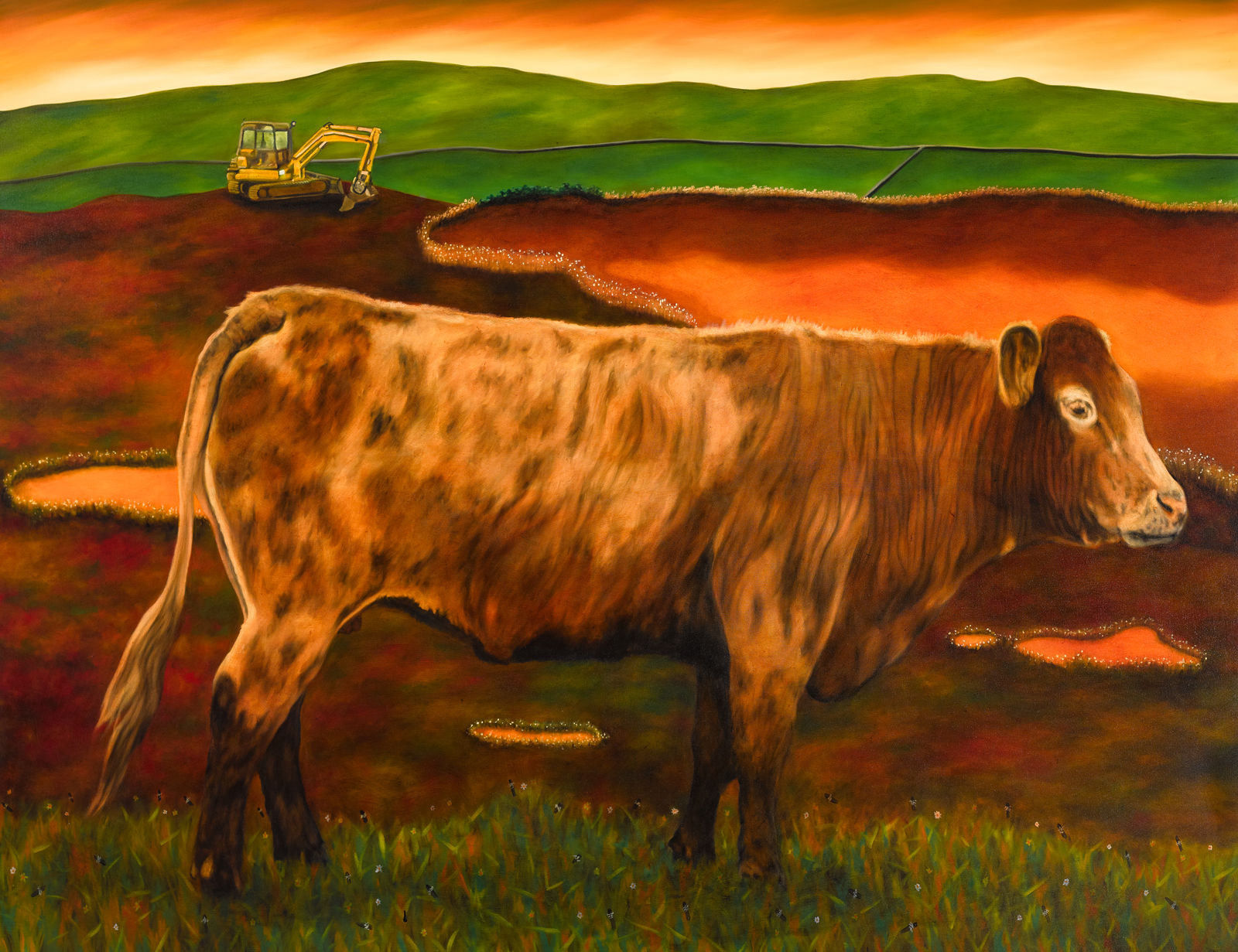 Dermot Seymour, The bog of disappearance, 2018