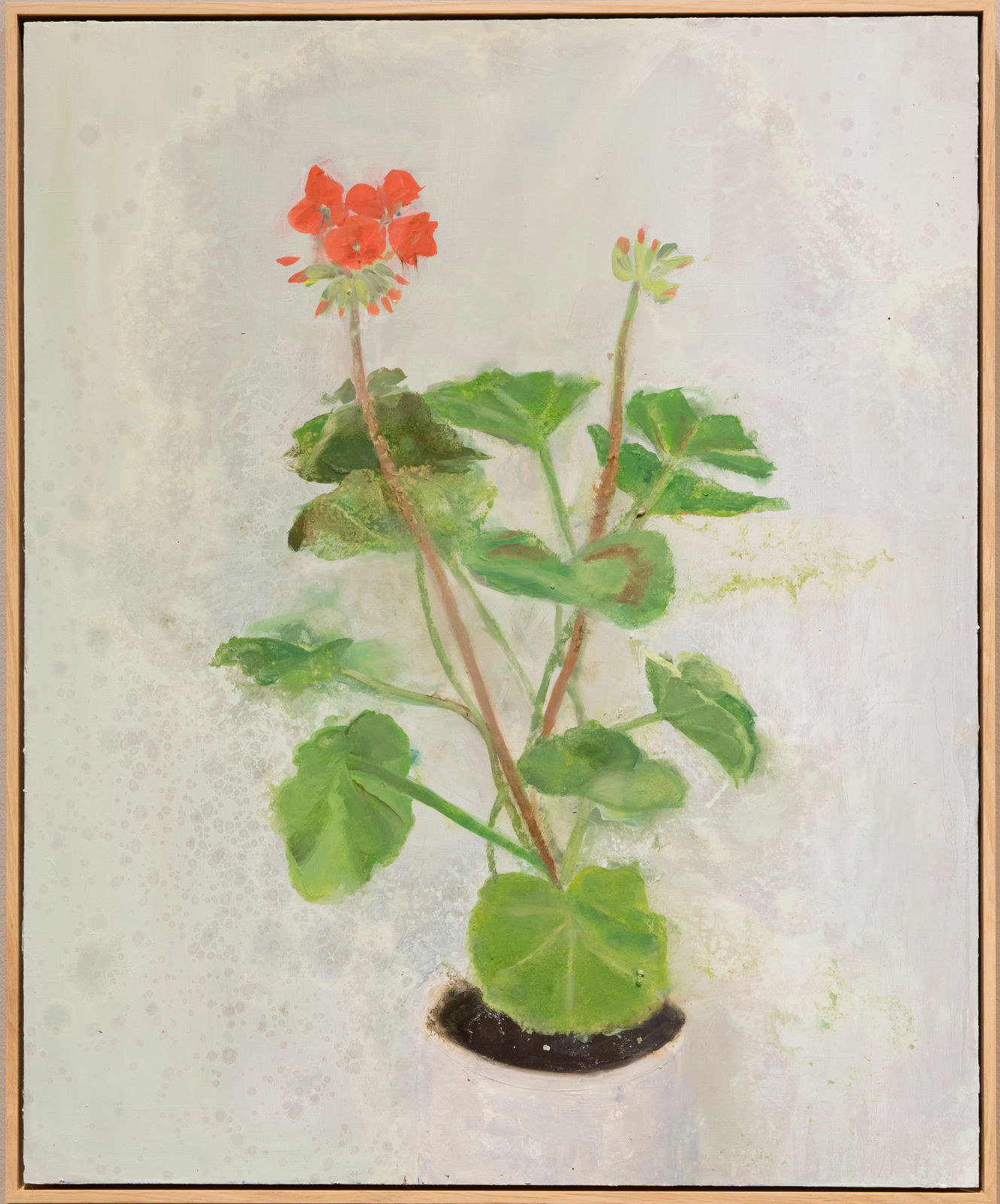 Anna Bjerger, Constant, 2022