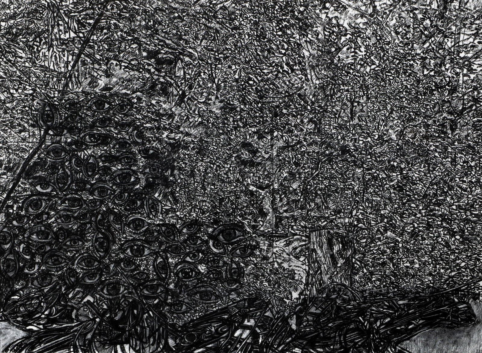 Gary Coyle, Eyes in the Forest , 2007