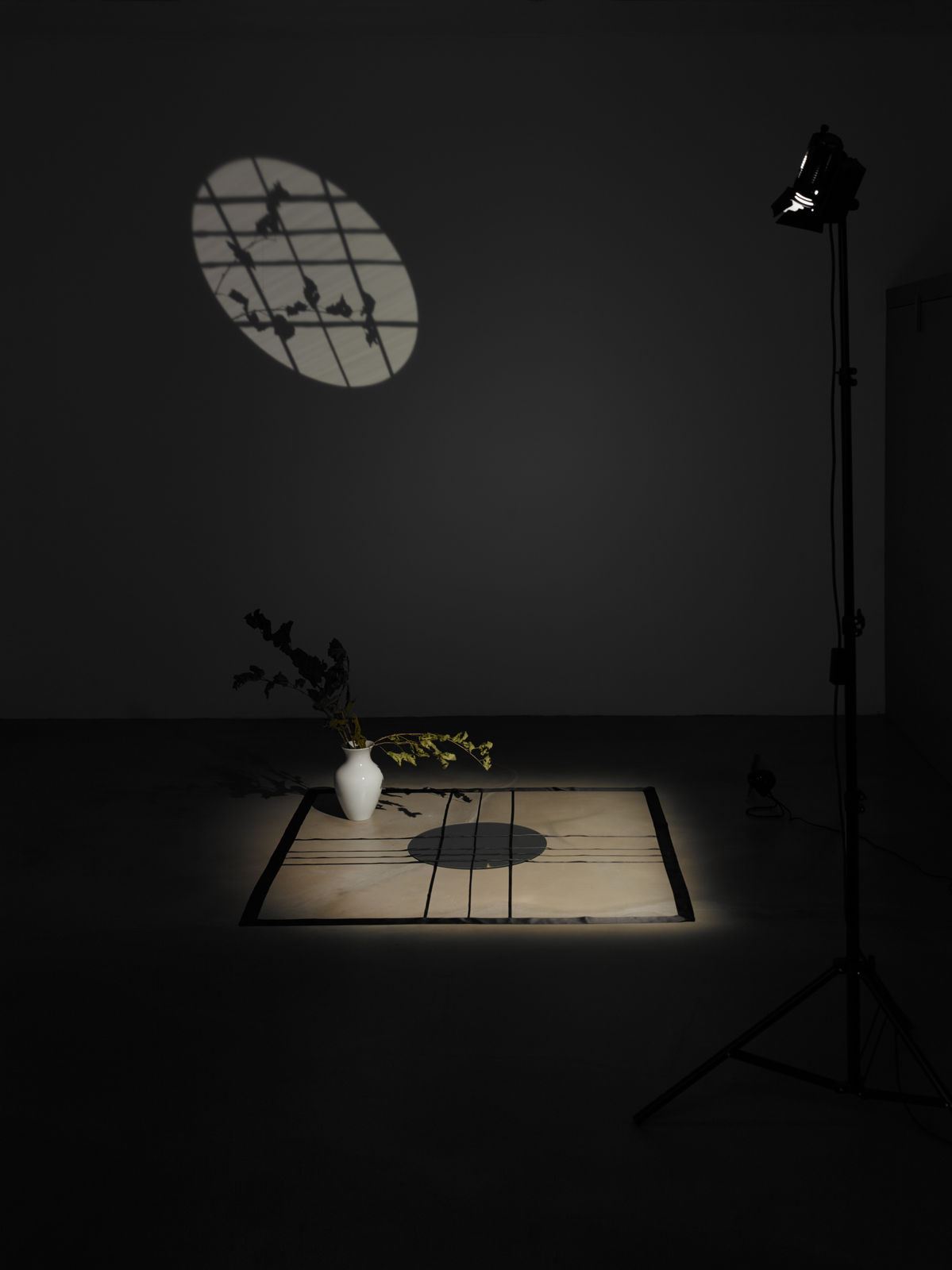 Ulrich Vogl, Window Pasolini, 2014