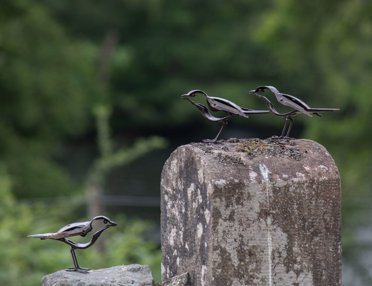 Helen Denerley, Wee bird ii, 2023