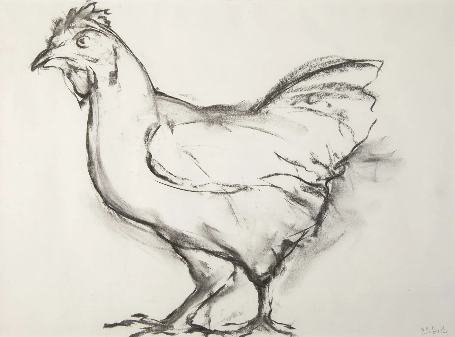 Helen Denerley, Chicken Drawing, 2019