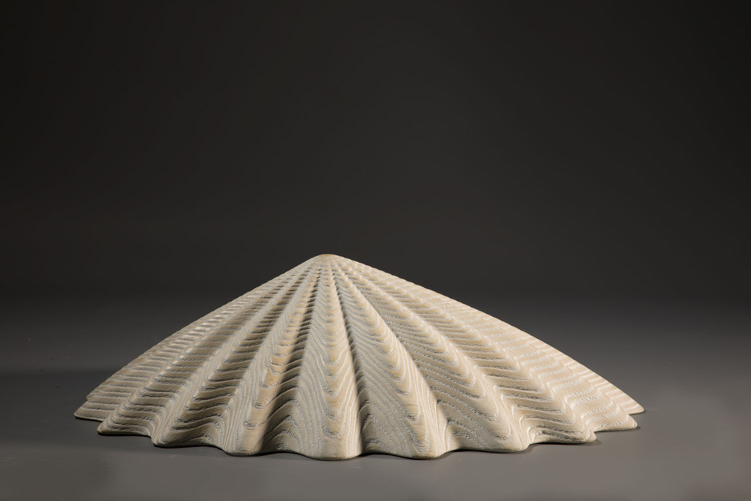 Duke Christie, White Limpet, 2020