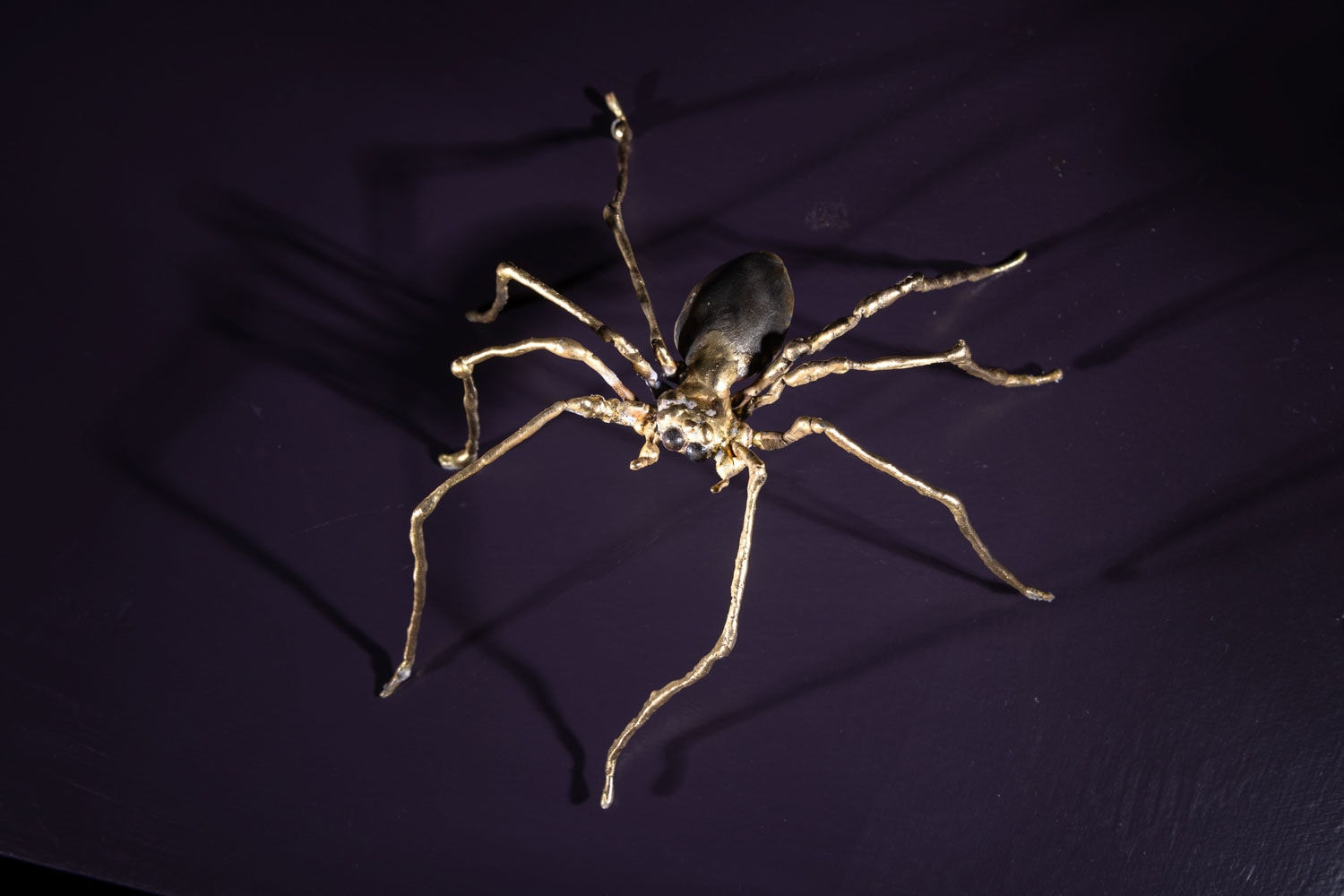 Helen Denerley, Wee Spider, 2024