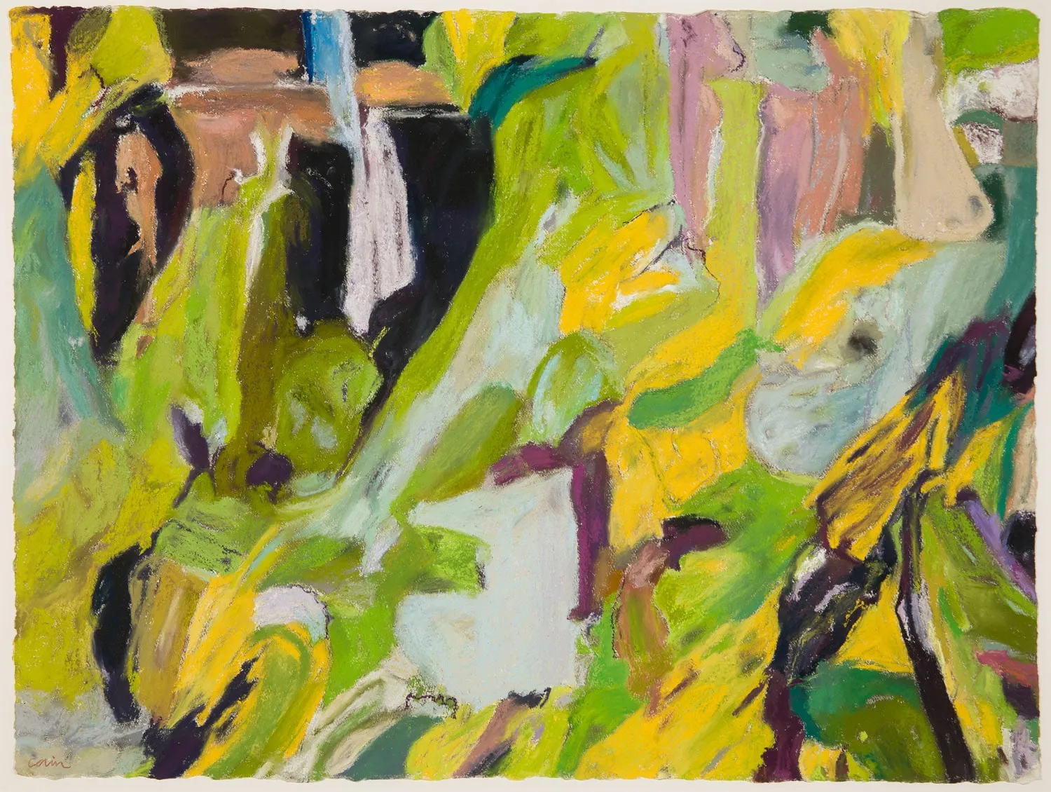 Patricia Cain - Presence of Trees