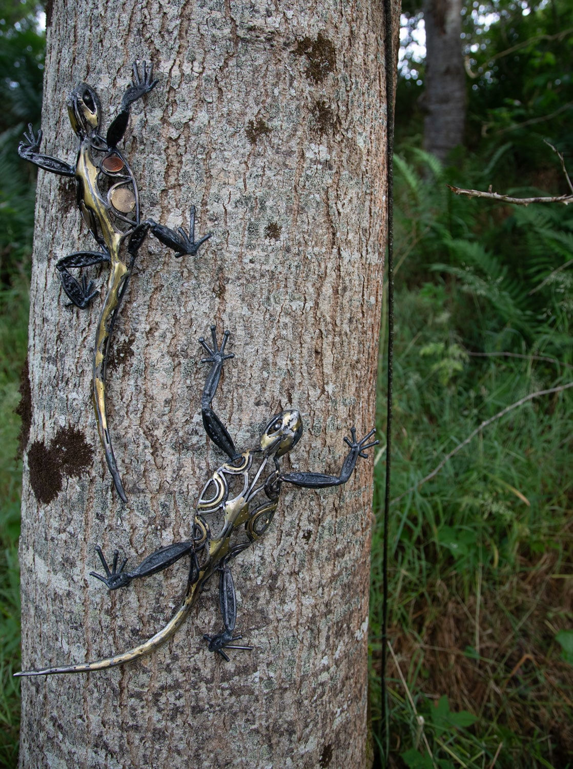 Helen Denerley, Lizard i, 2023