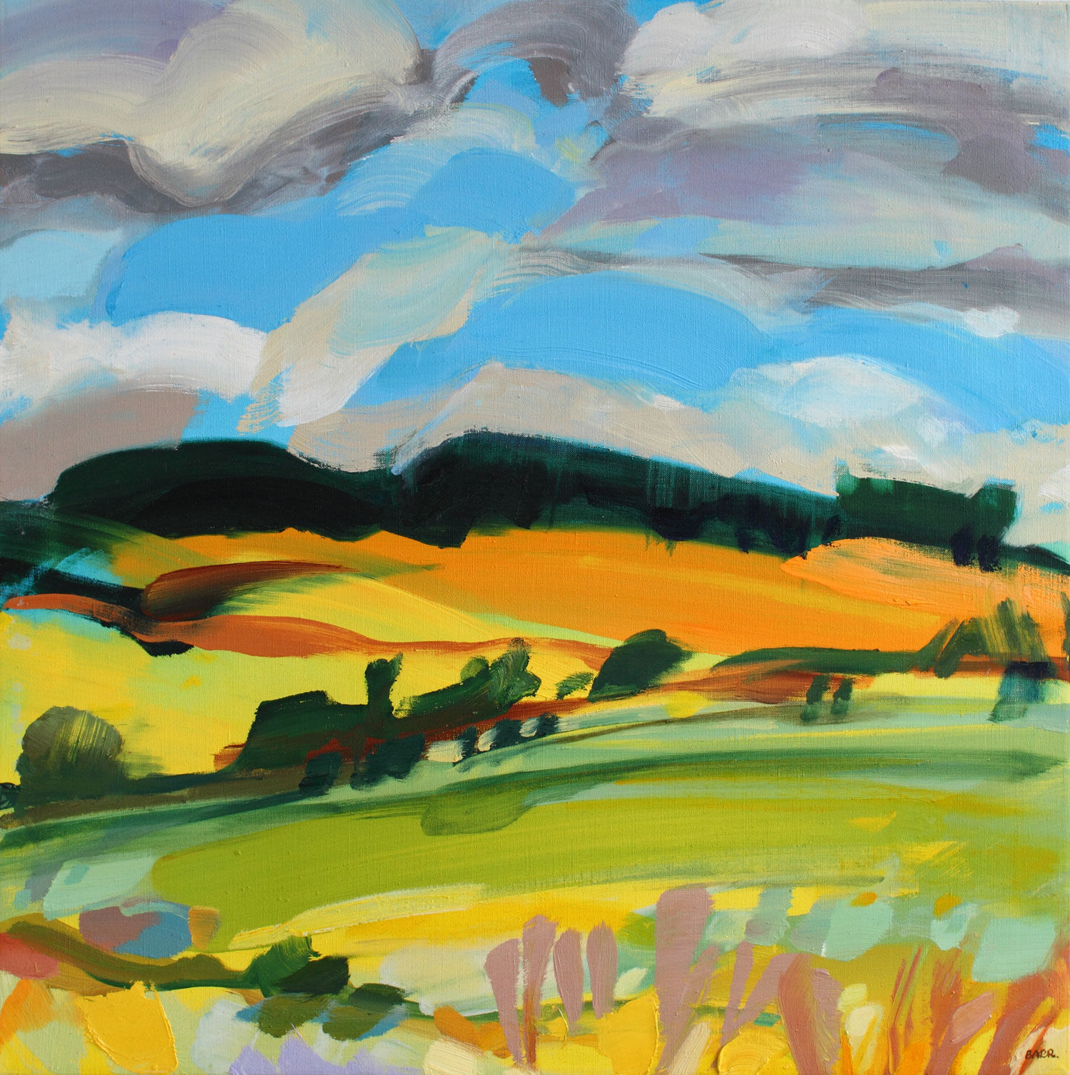 Shona Barr, Aberdeenshire Fields