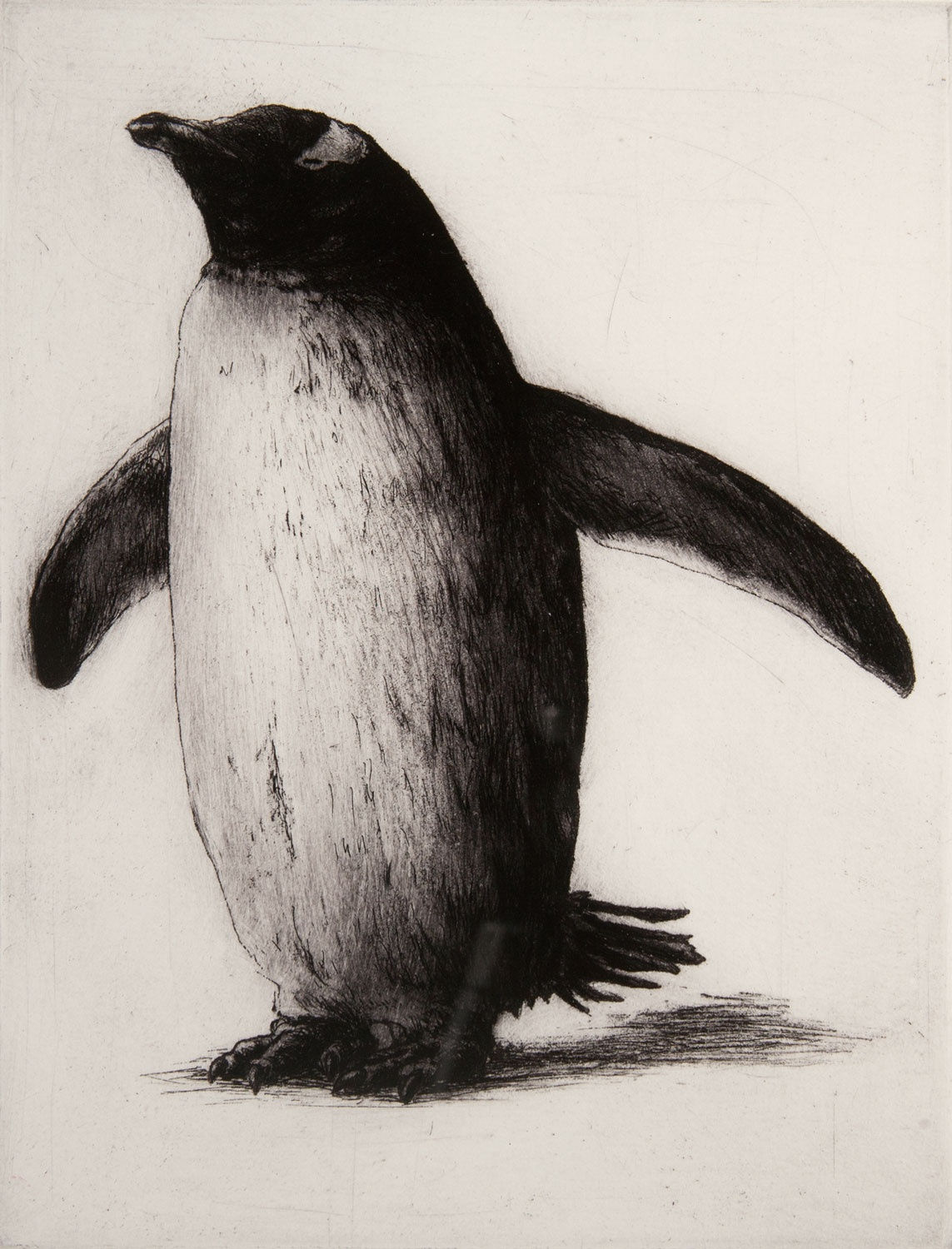 Helen Fay - What's That?