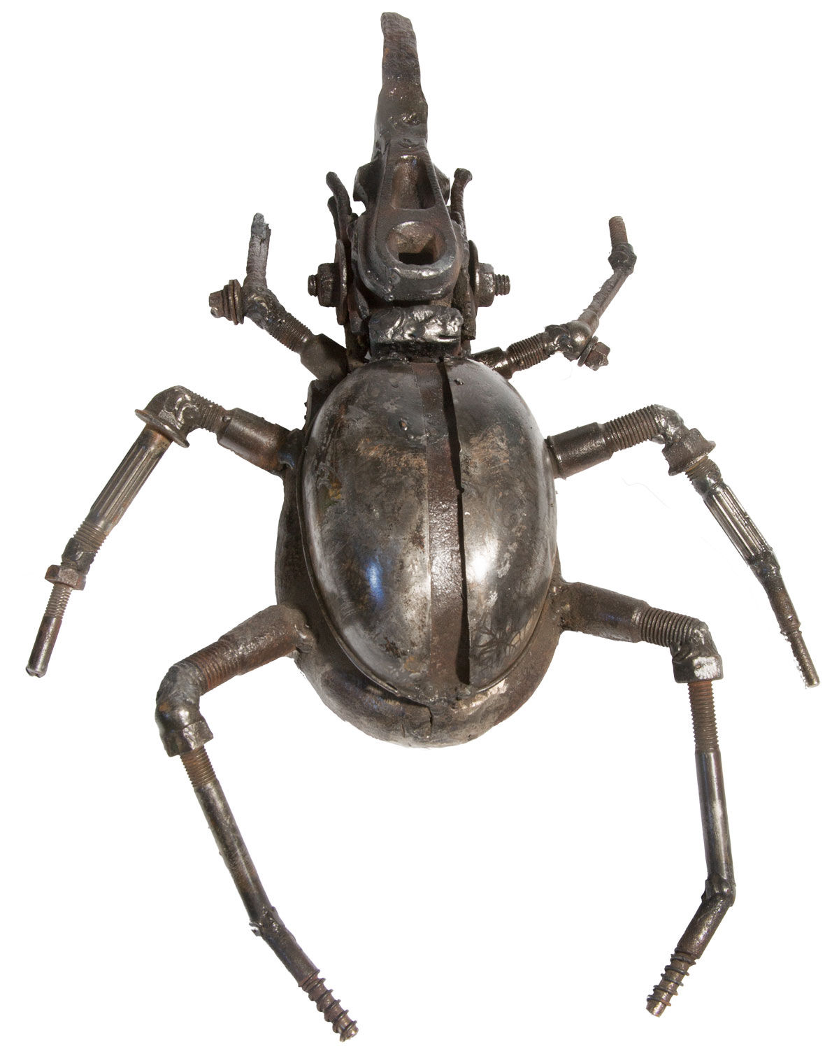 Helen Denerley, Rhinoceros Beetle