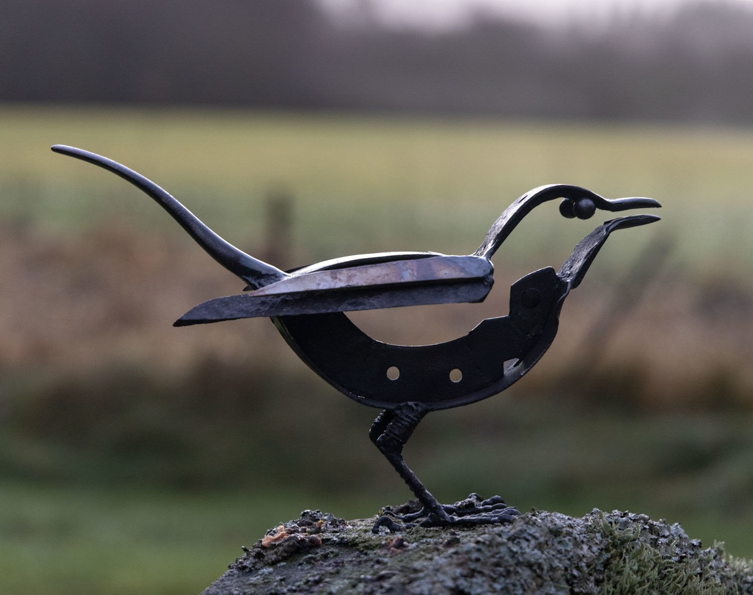 Helen Denerley, Blackbird ii, 2023