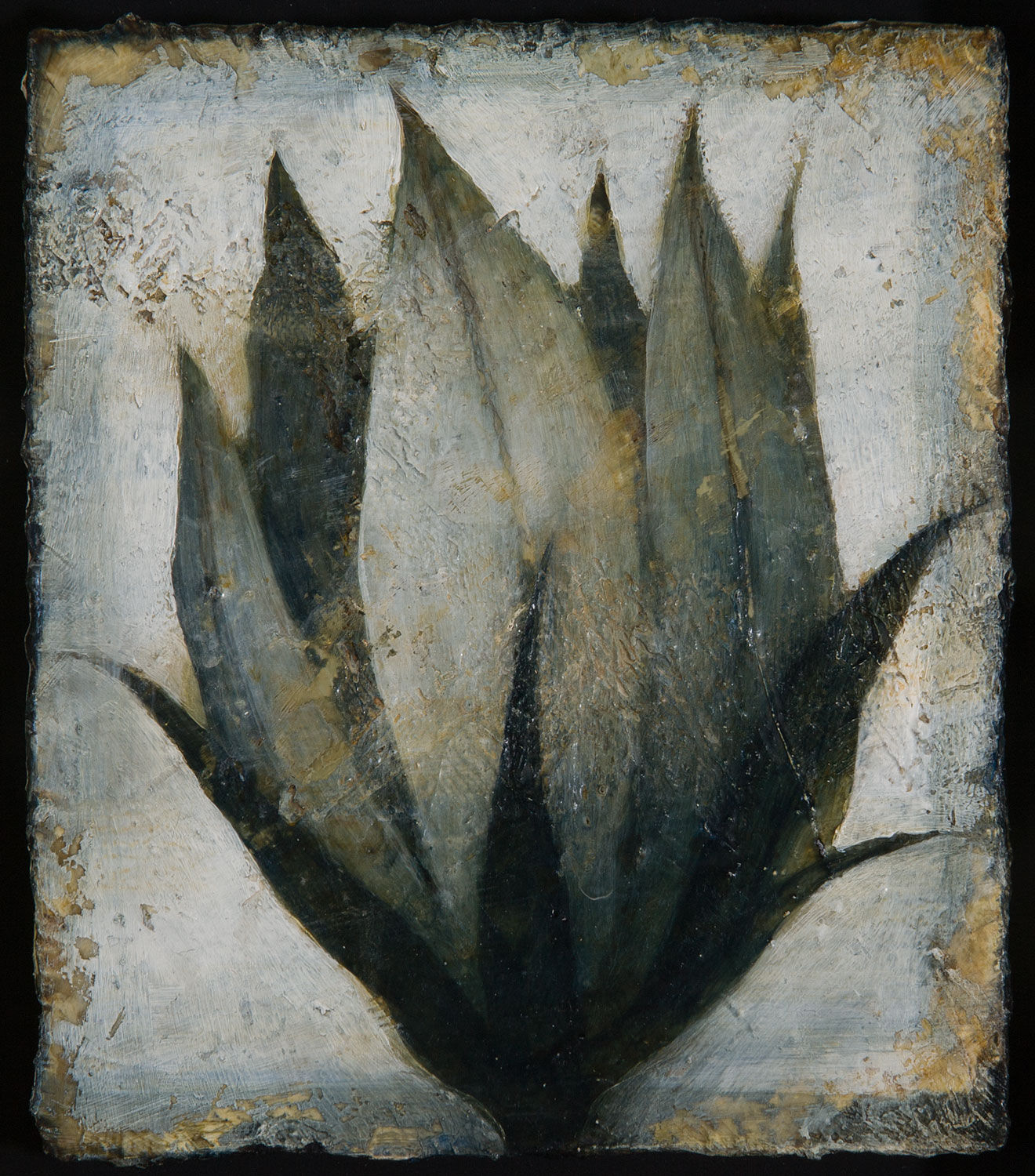 Peter White, Flower 10
