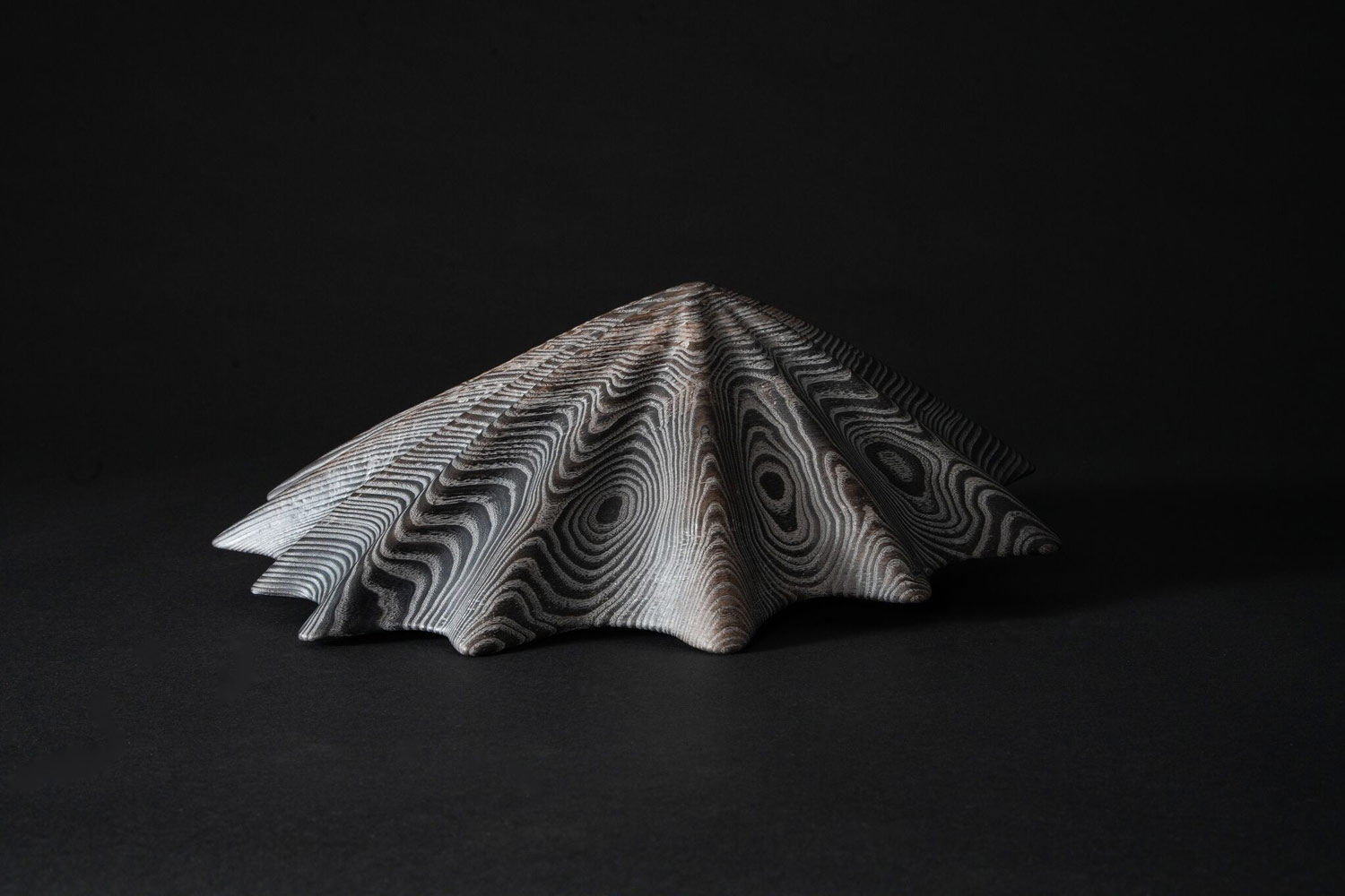 Duke Christie, Limpet torched (large), 2020