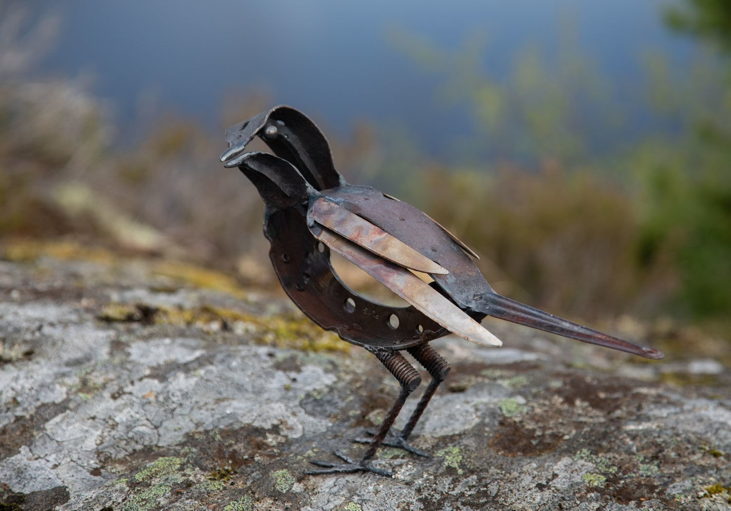 Helen Denerley, Songthrush, 2023
