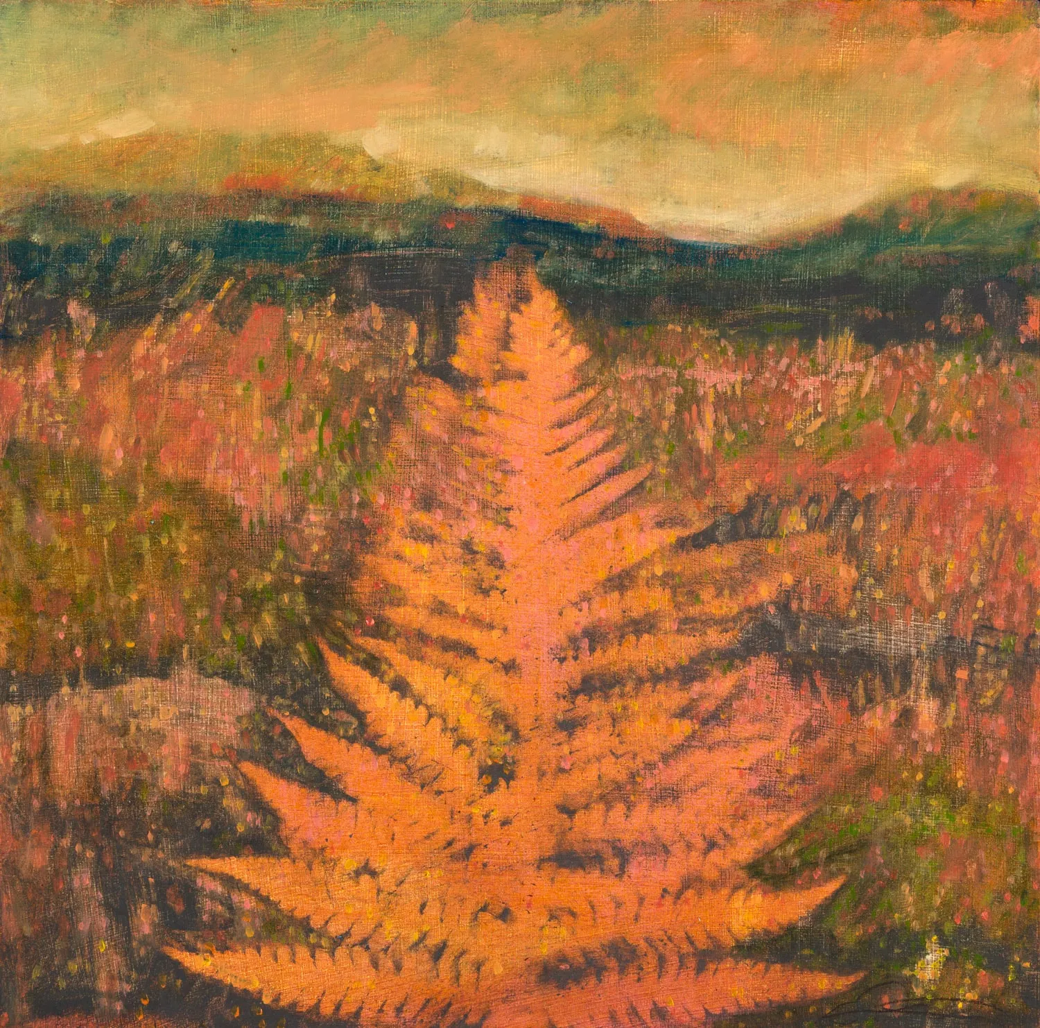 Wendy Sutherland, Wren, 2025