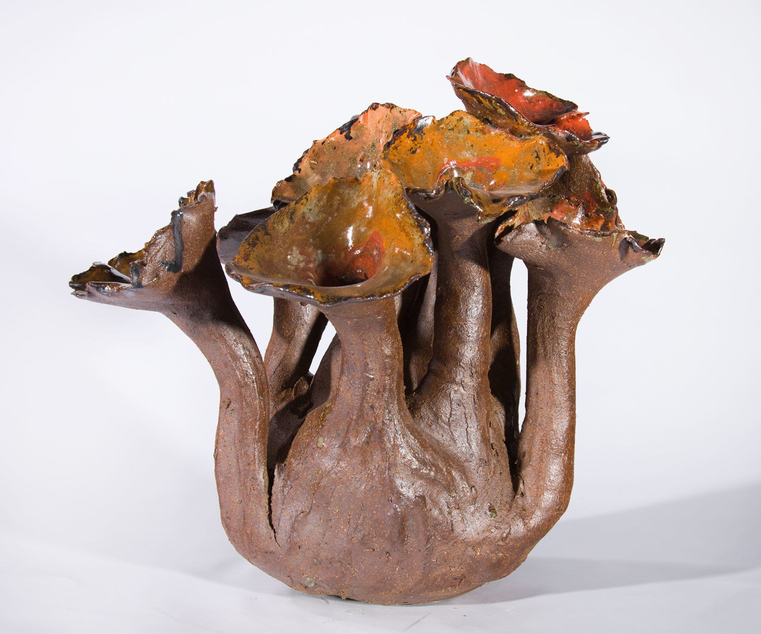 Lotte Glob, Flower of the Sea 1, 2022