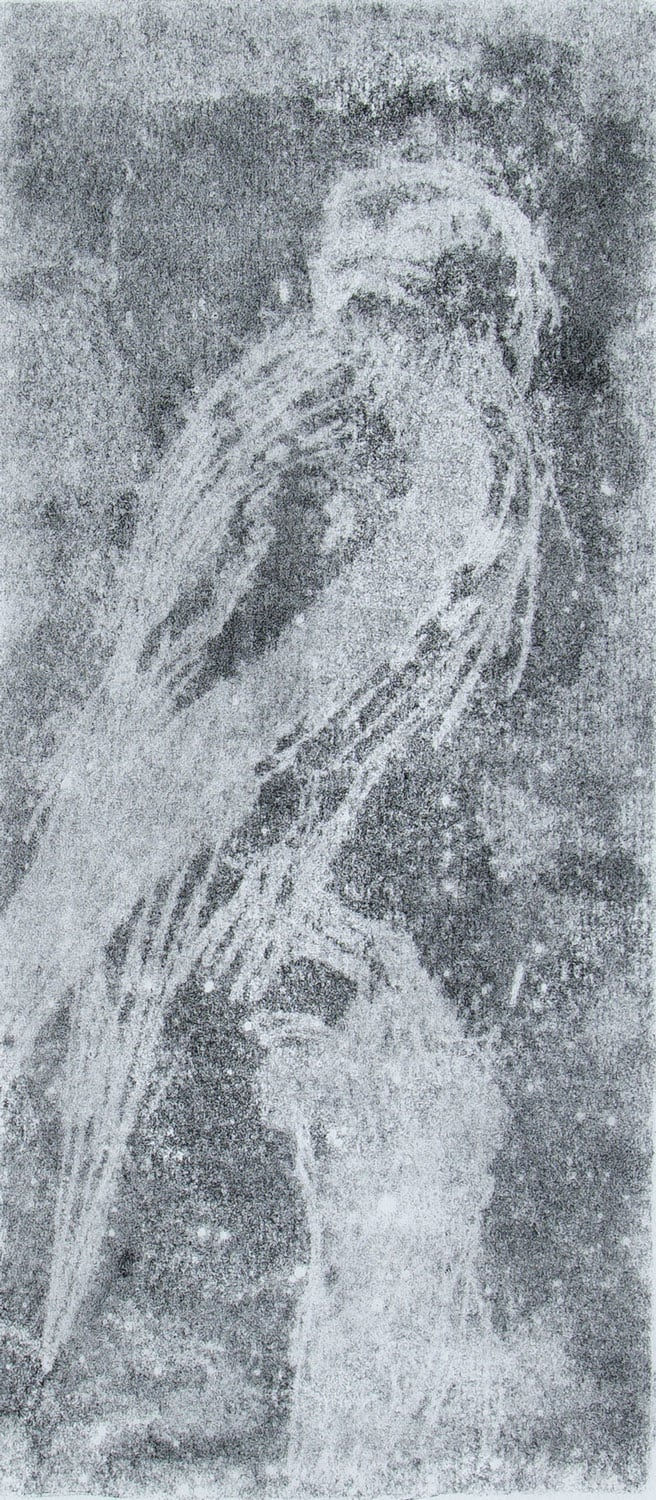 Helen Denerley, Ghost Kestrel, 2023