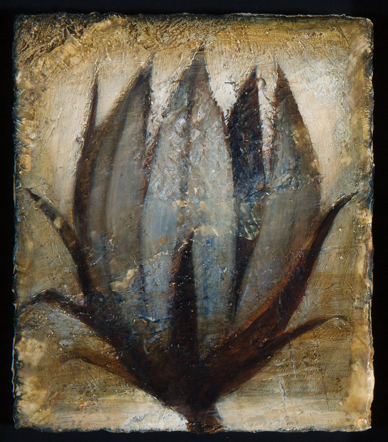 Peter White, Flower 7