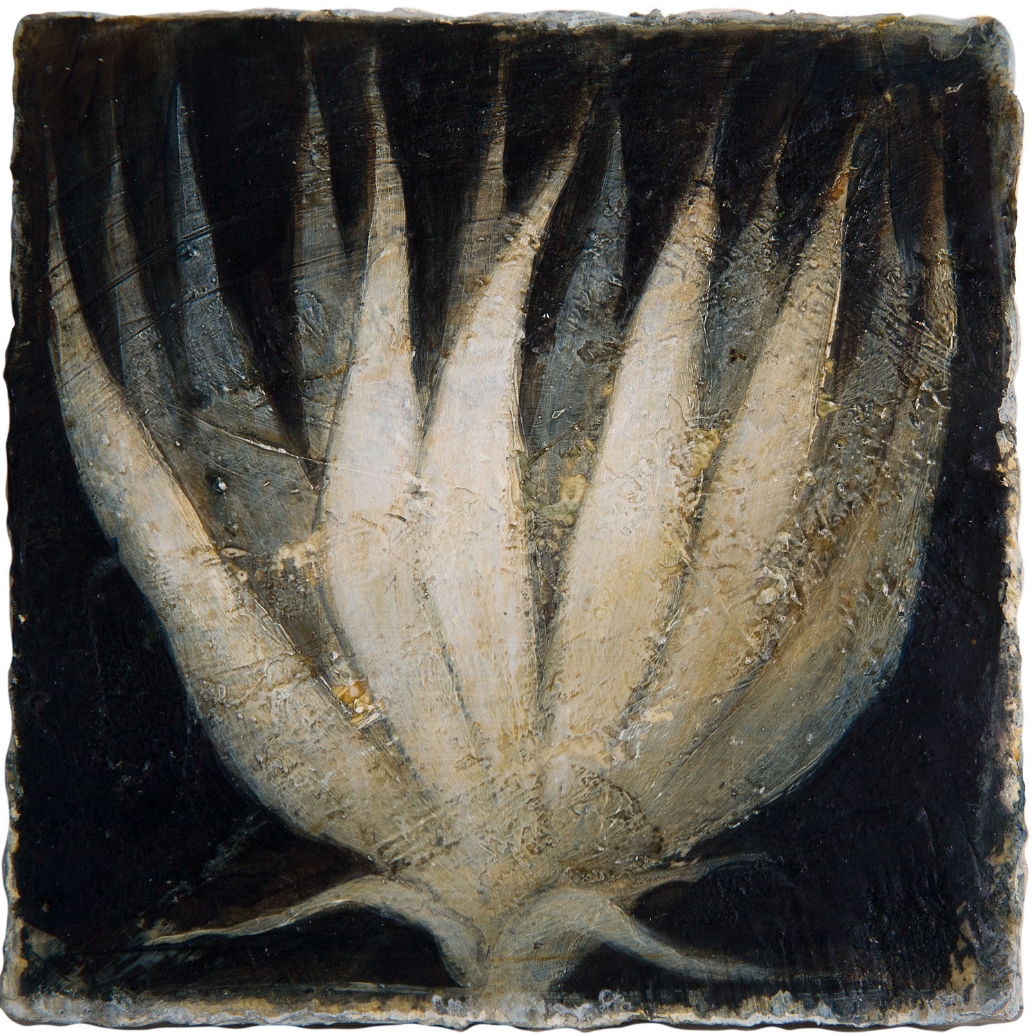 Peter White, Flower 1