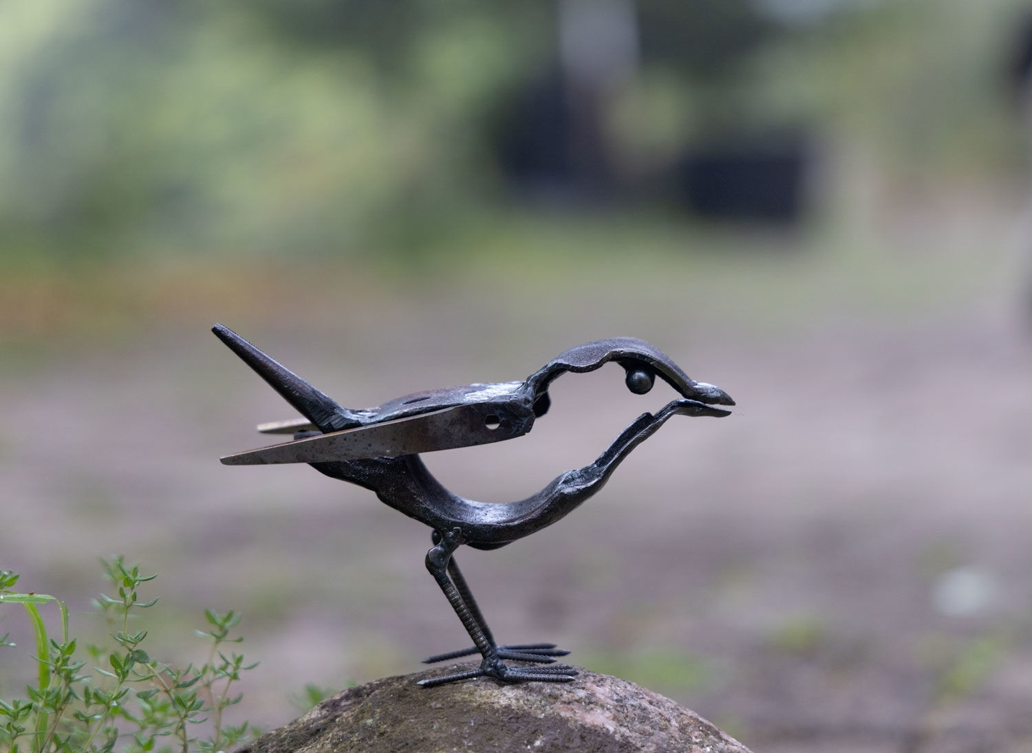 Helen Denerley, Wee Bird i, 2025