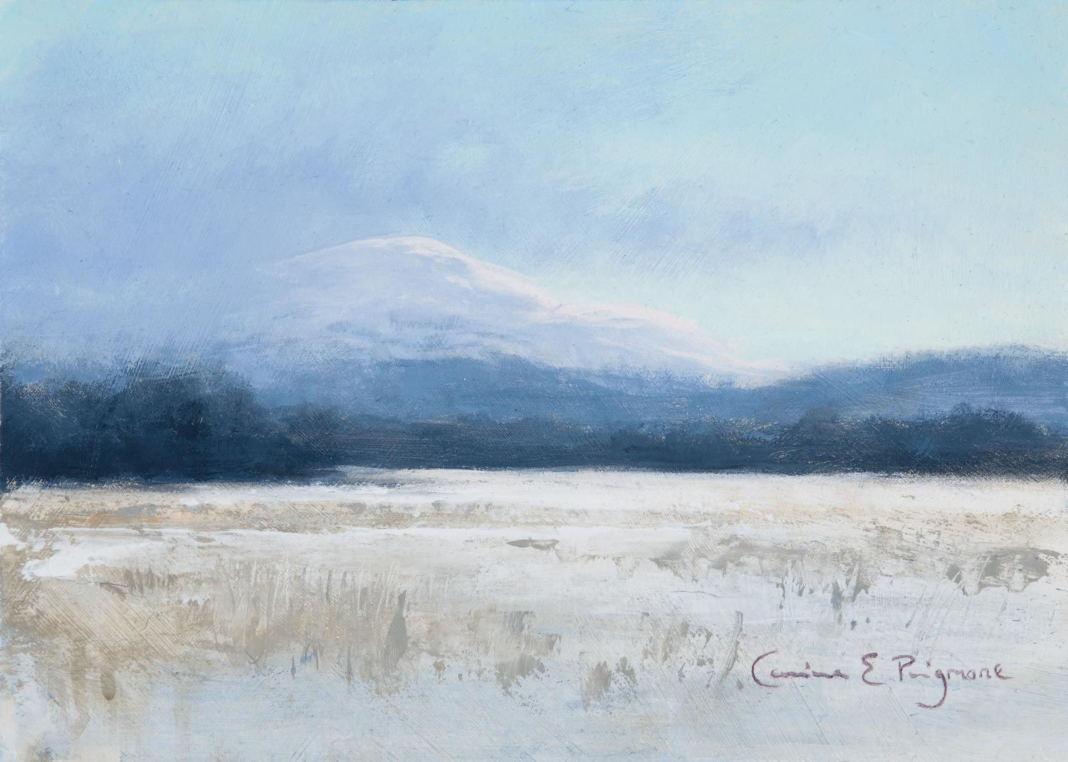 CARINA PRIGMORE Winter Memories