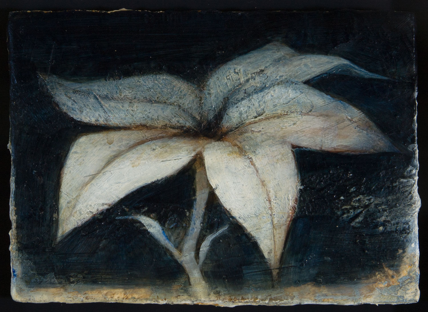 Peter White, Flower 9