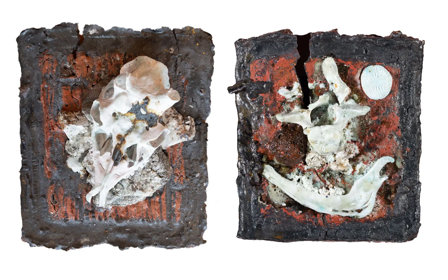 Lotte Glob, World on Fire 2, 2026