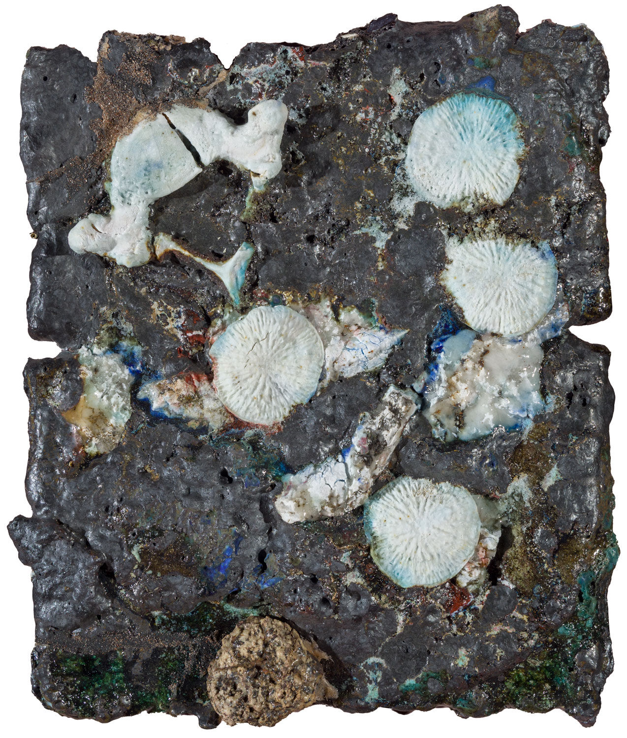 Lotte Glob, Shadow of a Dolphin, 2026