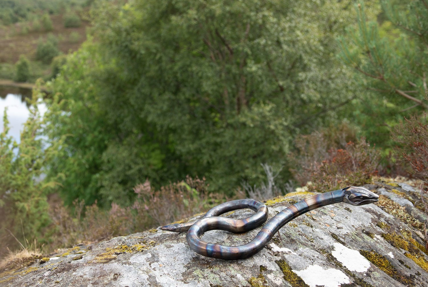 Helen Denerley, Snake, 2023