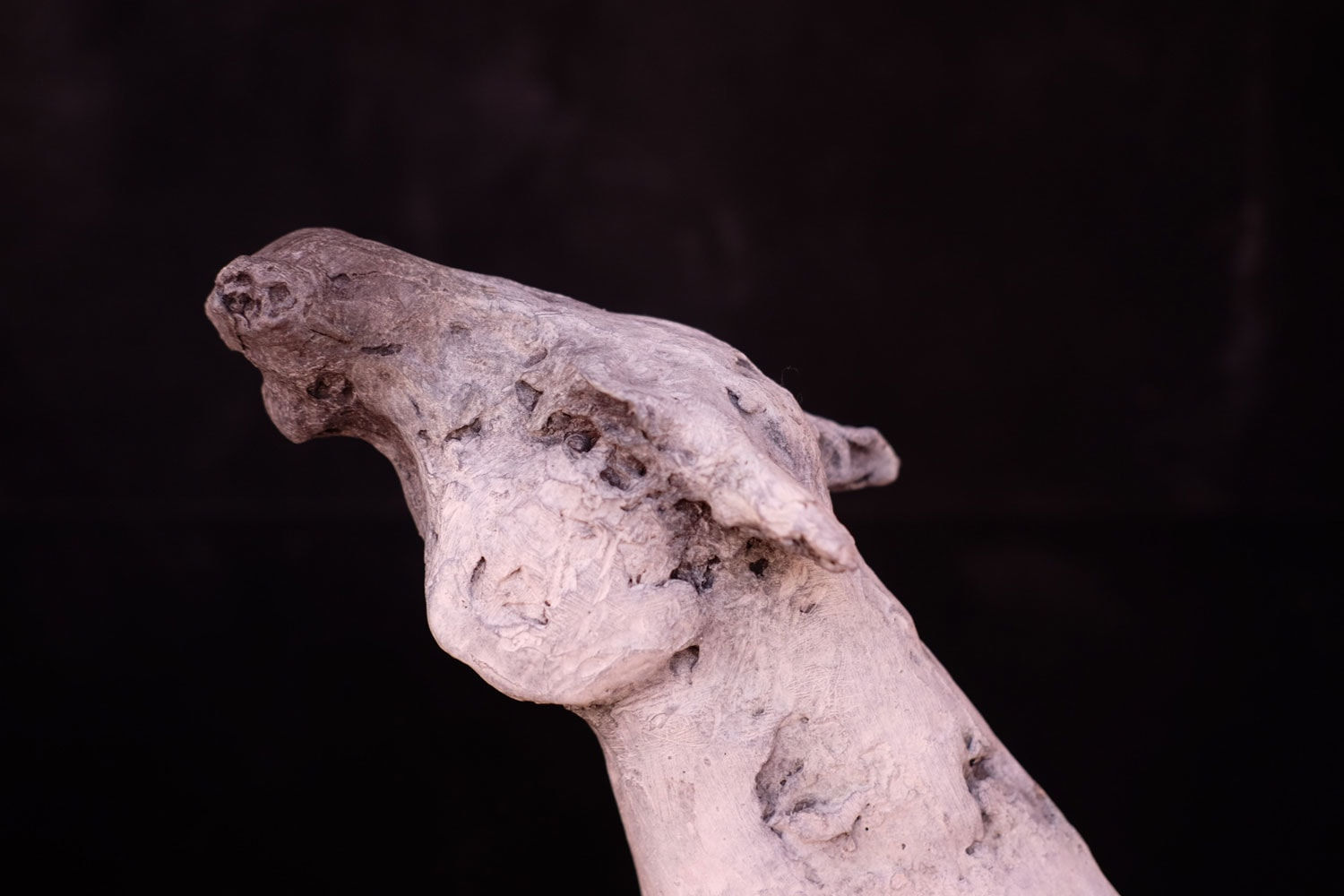 Jeanie Gibbs, Butt I love you, 2025