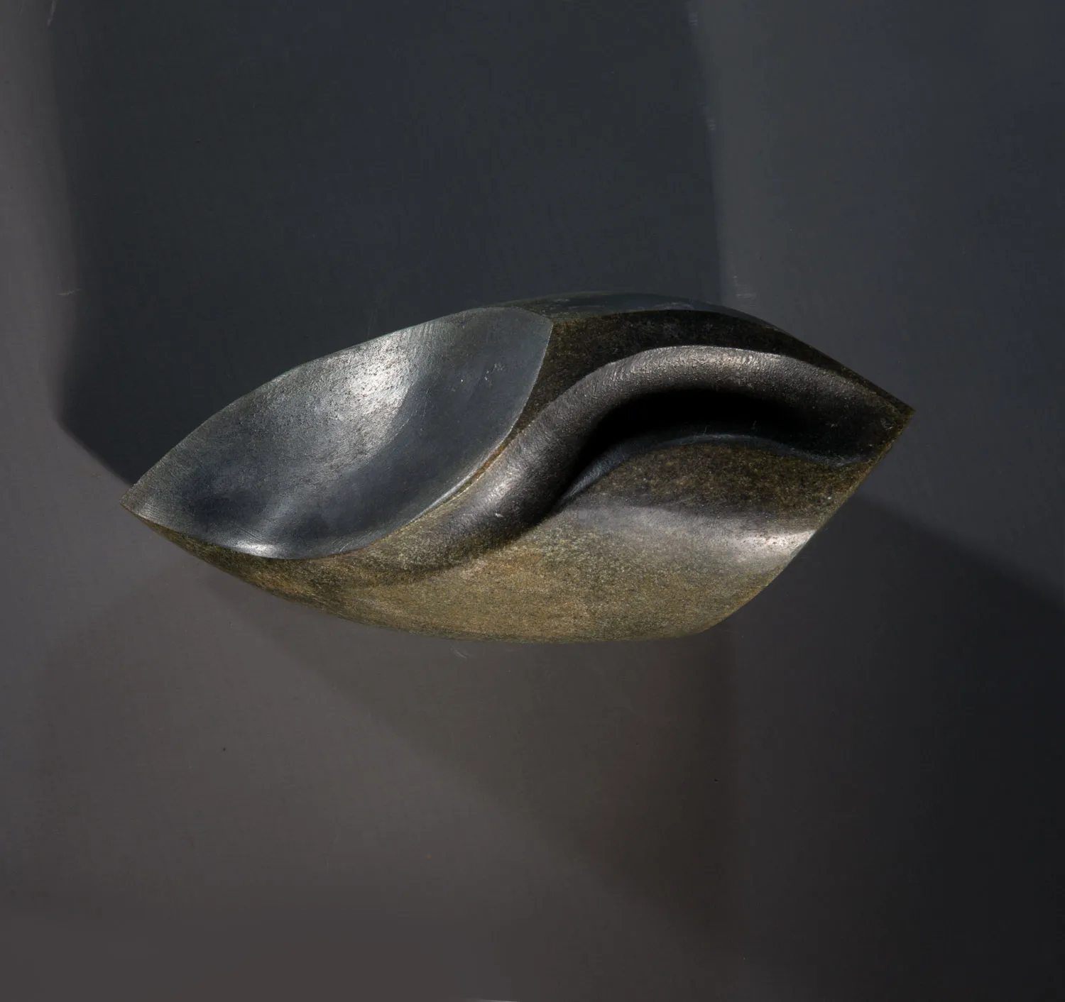 Steve Dilworth, Tool, 2020