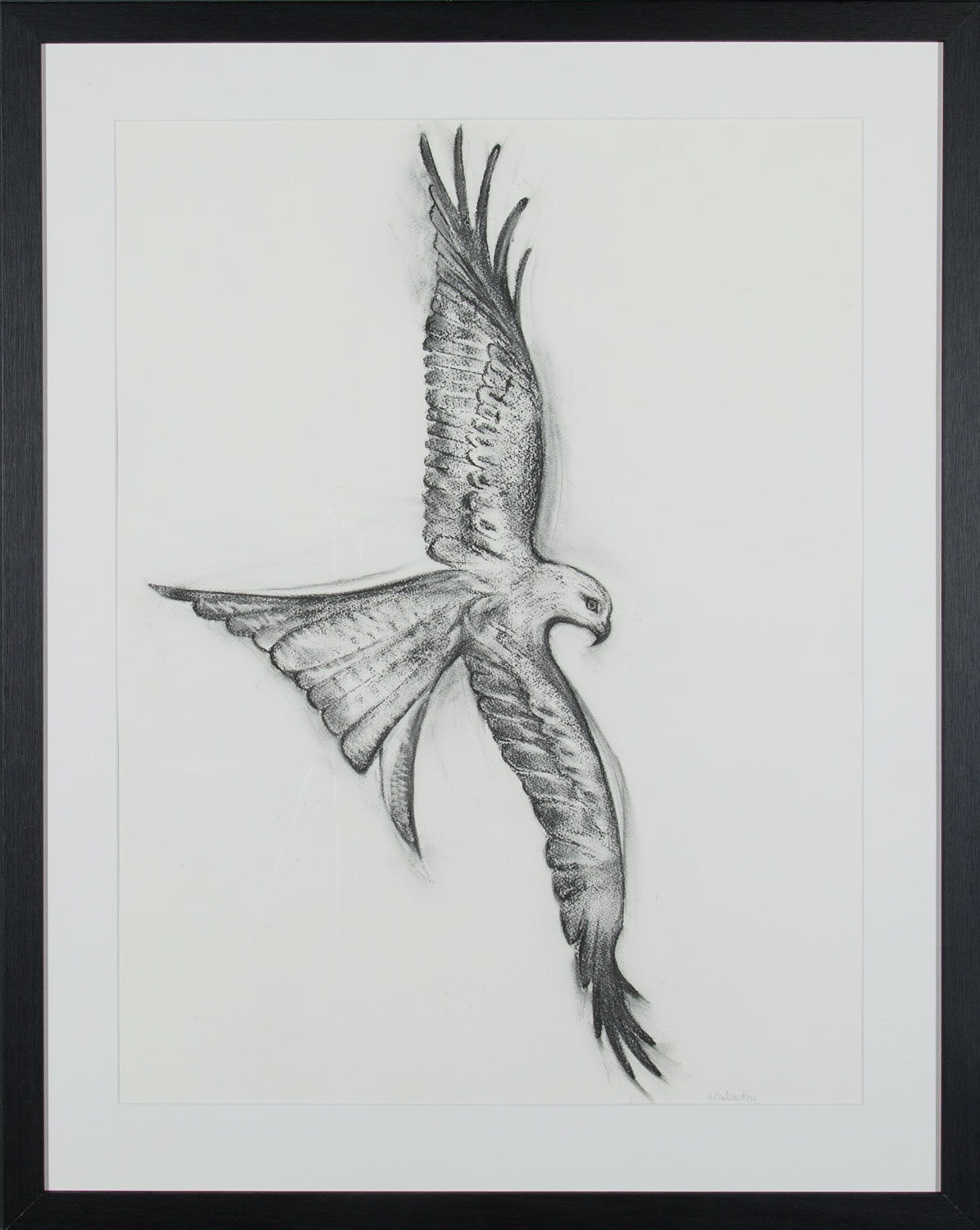 Helen Denerley, Red Kite, 2023