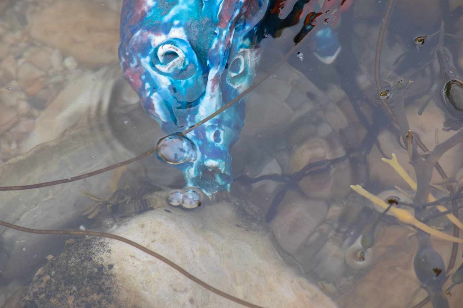 Lotte Glob, Wee Pete, 2022